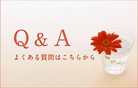 Q＆A：よくある質問はこちらから