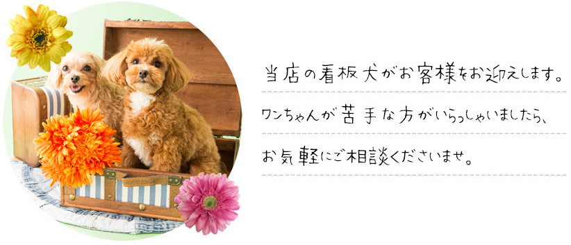 看板犬